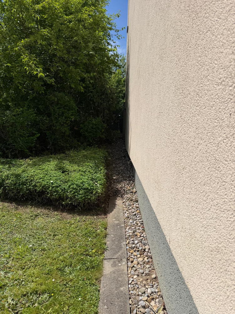 Hecke entlang der Fassade · Rückschnitt – Nachher