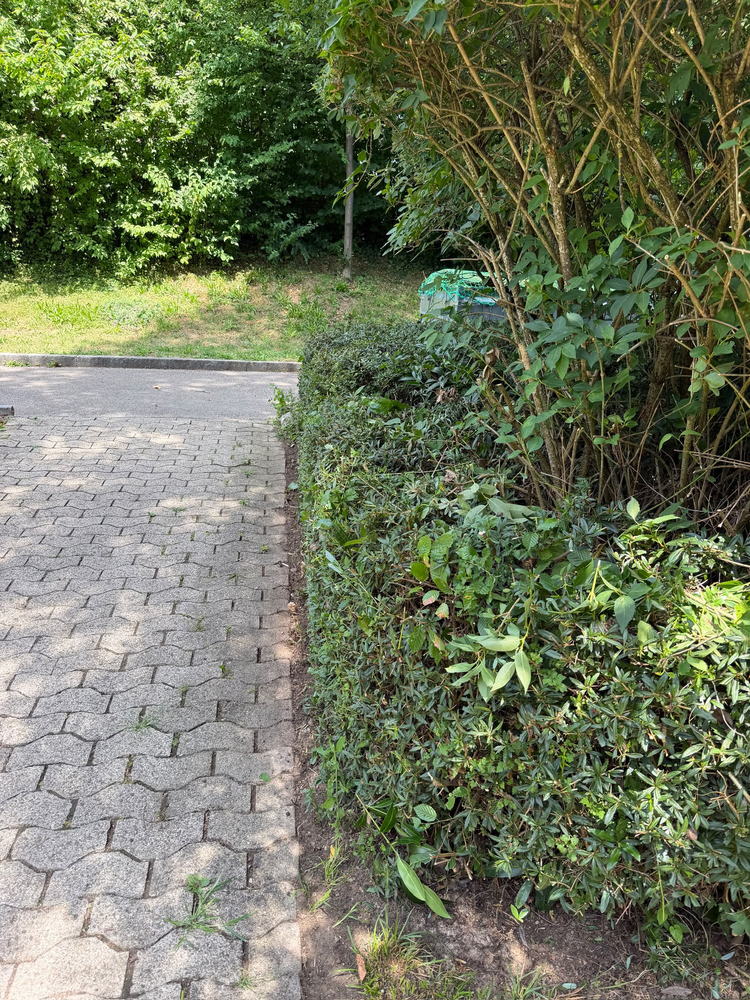 Gartenweg · Freischnitt und Pflege – Nachher
