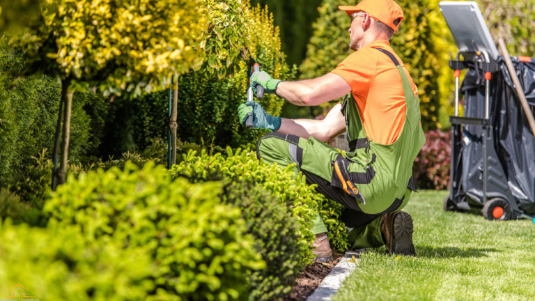 Gartenunterhalt .jpg